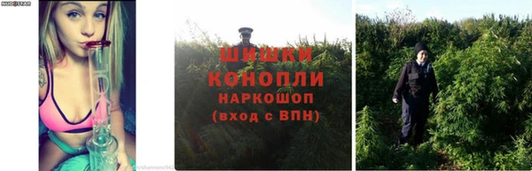 гидра Козловка