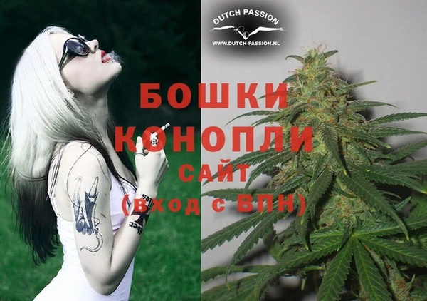 гидра Козловка