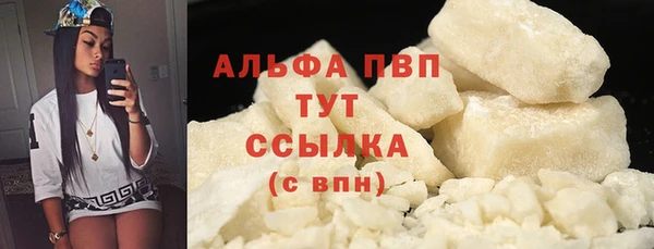 гидра Кодинск