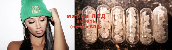 гидра Козловка