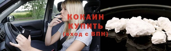 гидра Кодинск