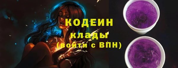 гидра Кодинск