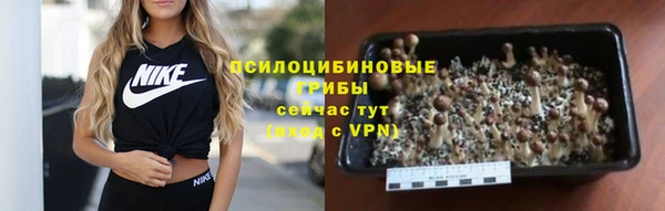 гидра Кодинск