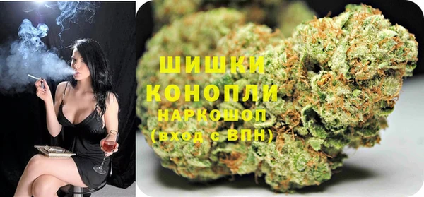 гашик Костерёво