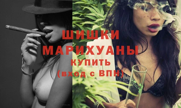 гидра Кодинск