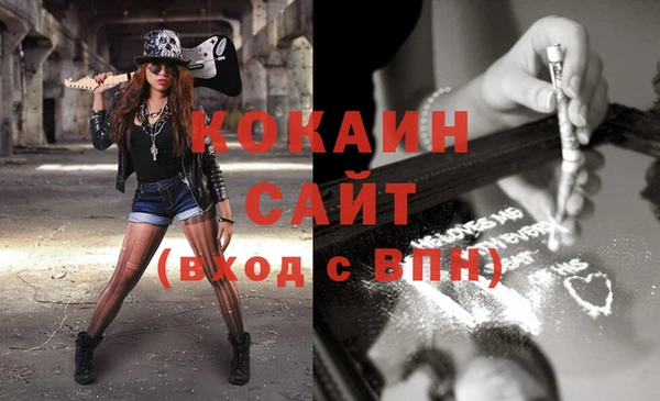 гашик Козельск