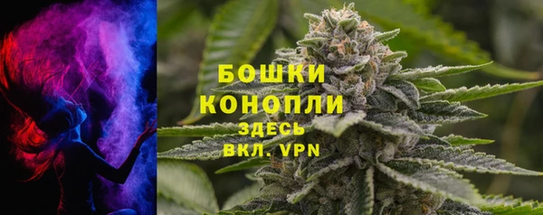 гашик Костерёво