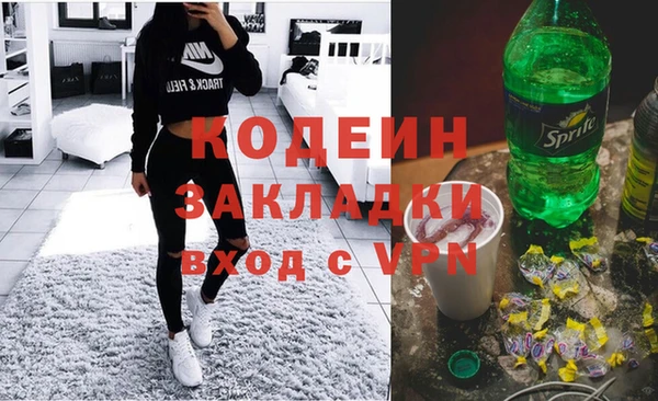 гашик Козельск