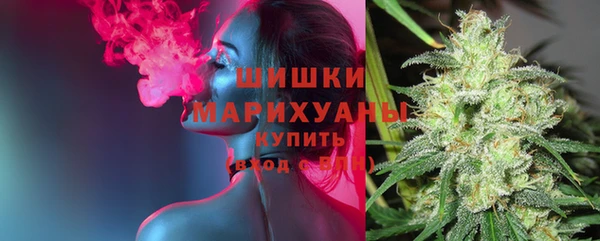 гидра Козловка