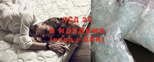 гашик Козельск