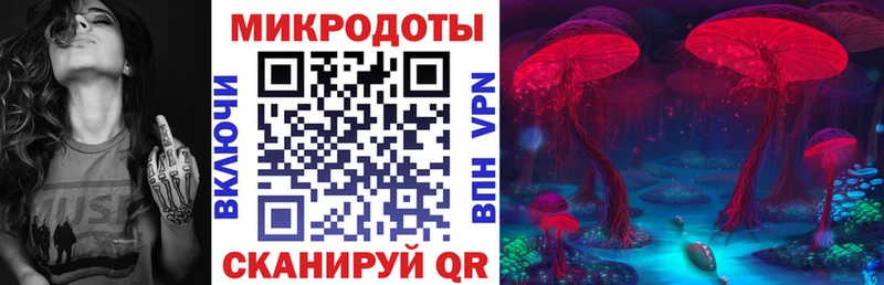 площадка как зайти  Касли  Галлюциногенные грибы GOLDEN TEACHER  продажа наркотиков 
